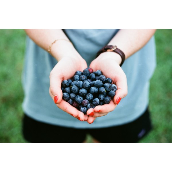 Yaban Mersini Meyvesi Blueberry Maviyemiş 500 gr