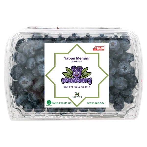 Yaban Mersini Meyvesi Blueberry Maviyemiş 500 gr
