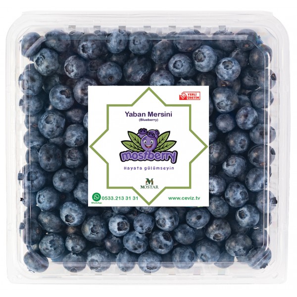 Yaban Mersini Meyvesi Blueberry Maviyemiş 100 gr