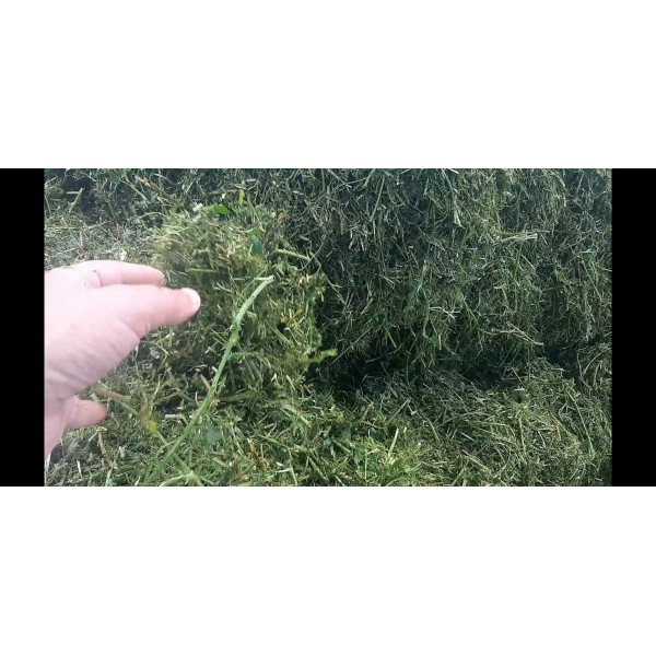 Yonca Silajı Hazır Paket